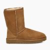 * Ugg Australia Classic Short Chestnut Boots